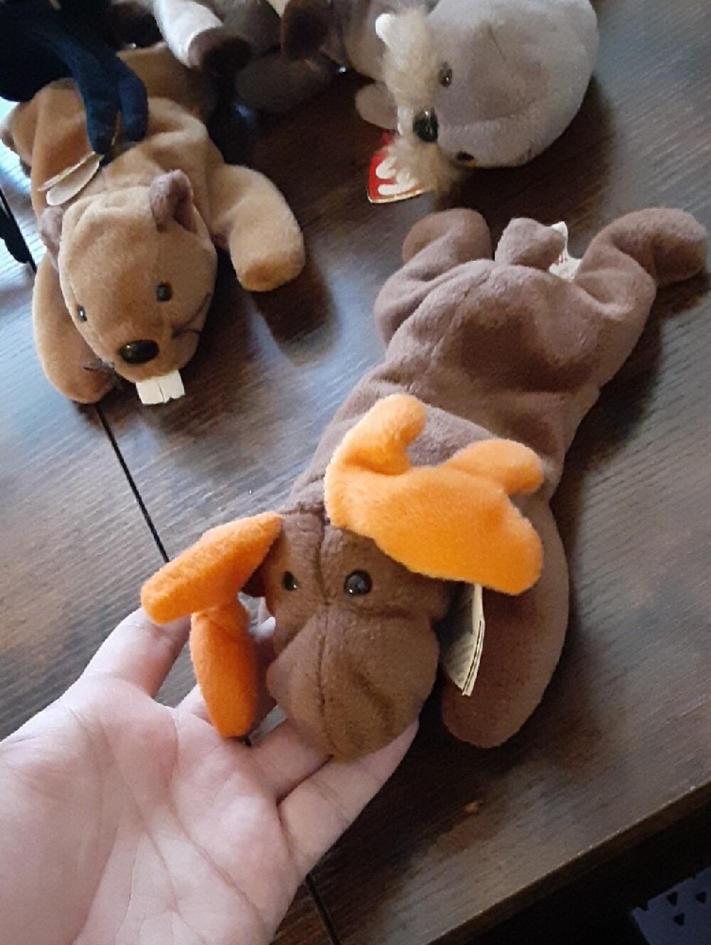 Pick one! Ty Plush Animals - Picture 6 of 14
